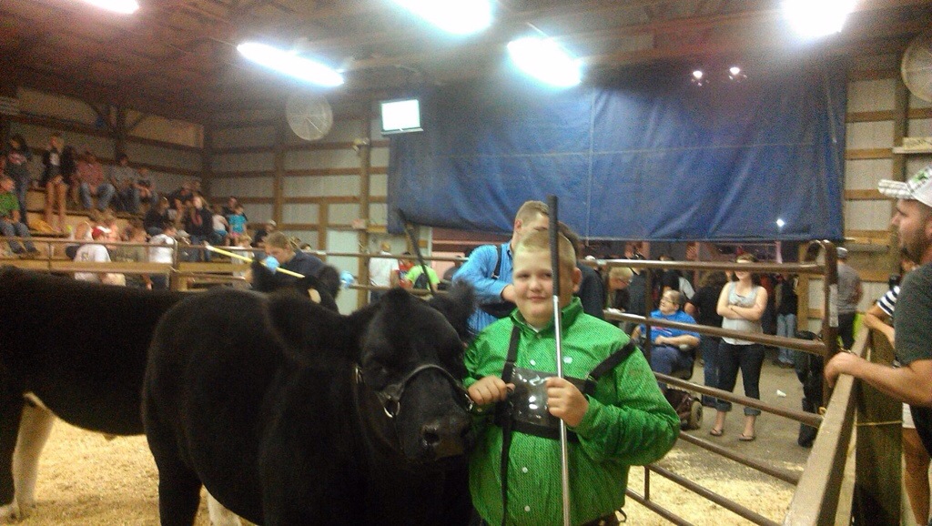 Holmes County Fair Ohio Matt Lautner Cattle