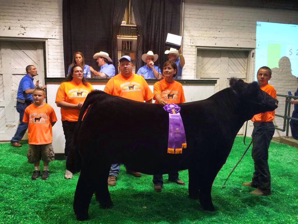 Governor’s Charity Steer Show Iowa State Fair Matt Lautner Cattle