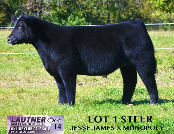 Lot1Jesse