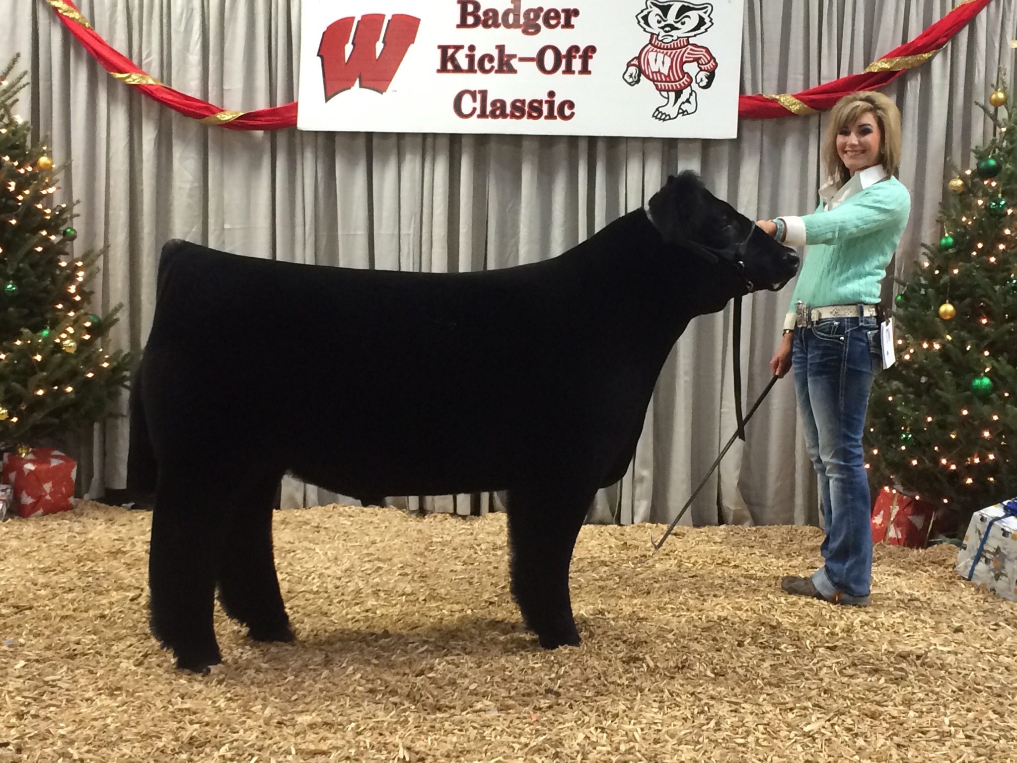 Badger Kickoff Classic Breed Lautner Sweeps Crossbred Steers Matt