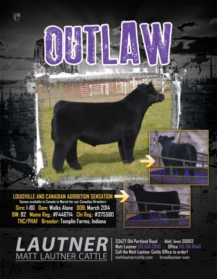 outlaw-2