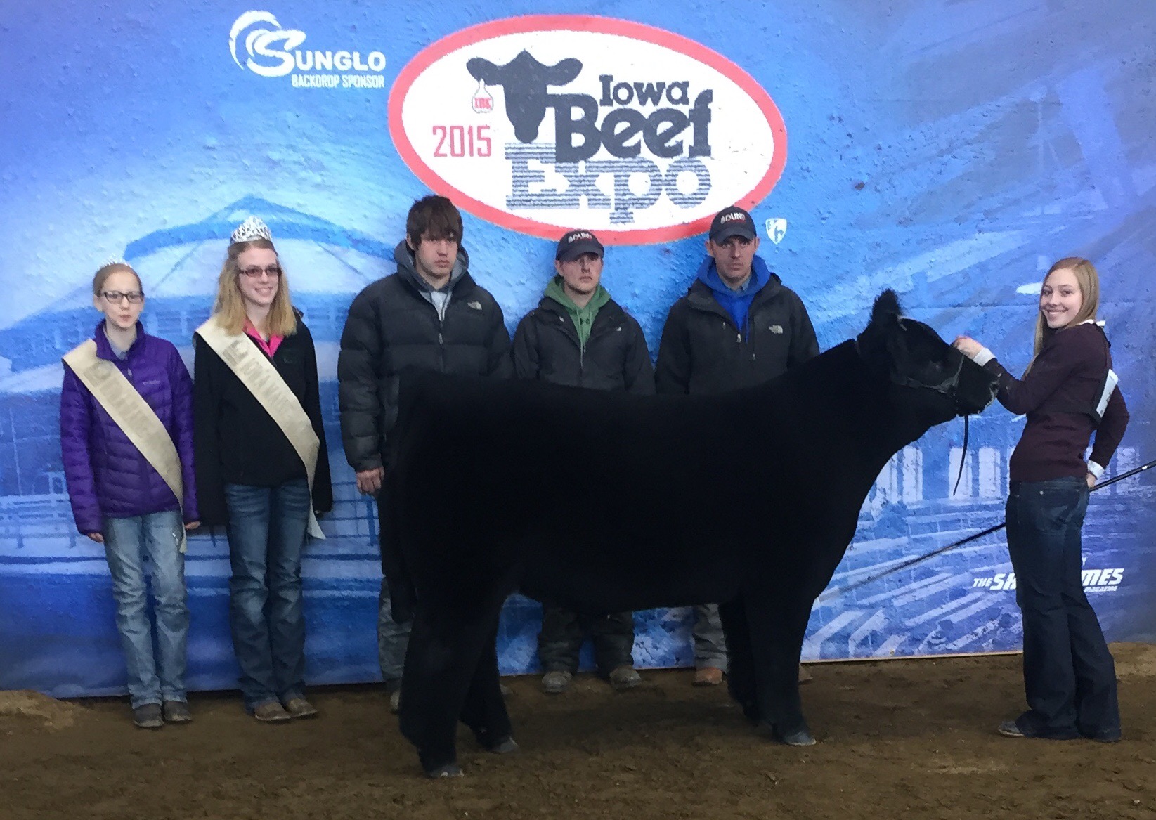 Iowa Beef Expo Steers Maine Anjou Matt Lautner Cattle