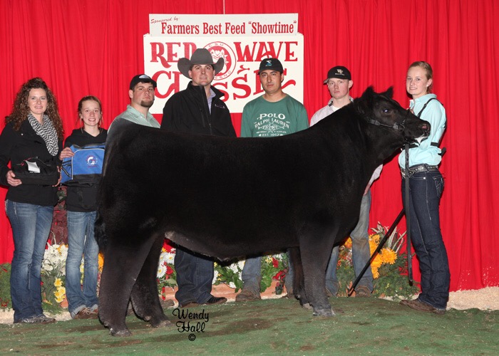 From Dean Staley Charter Oak, Iowa Matt Lautner Cattle