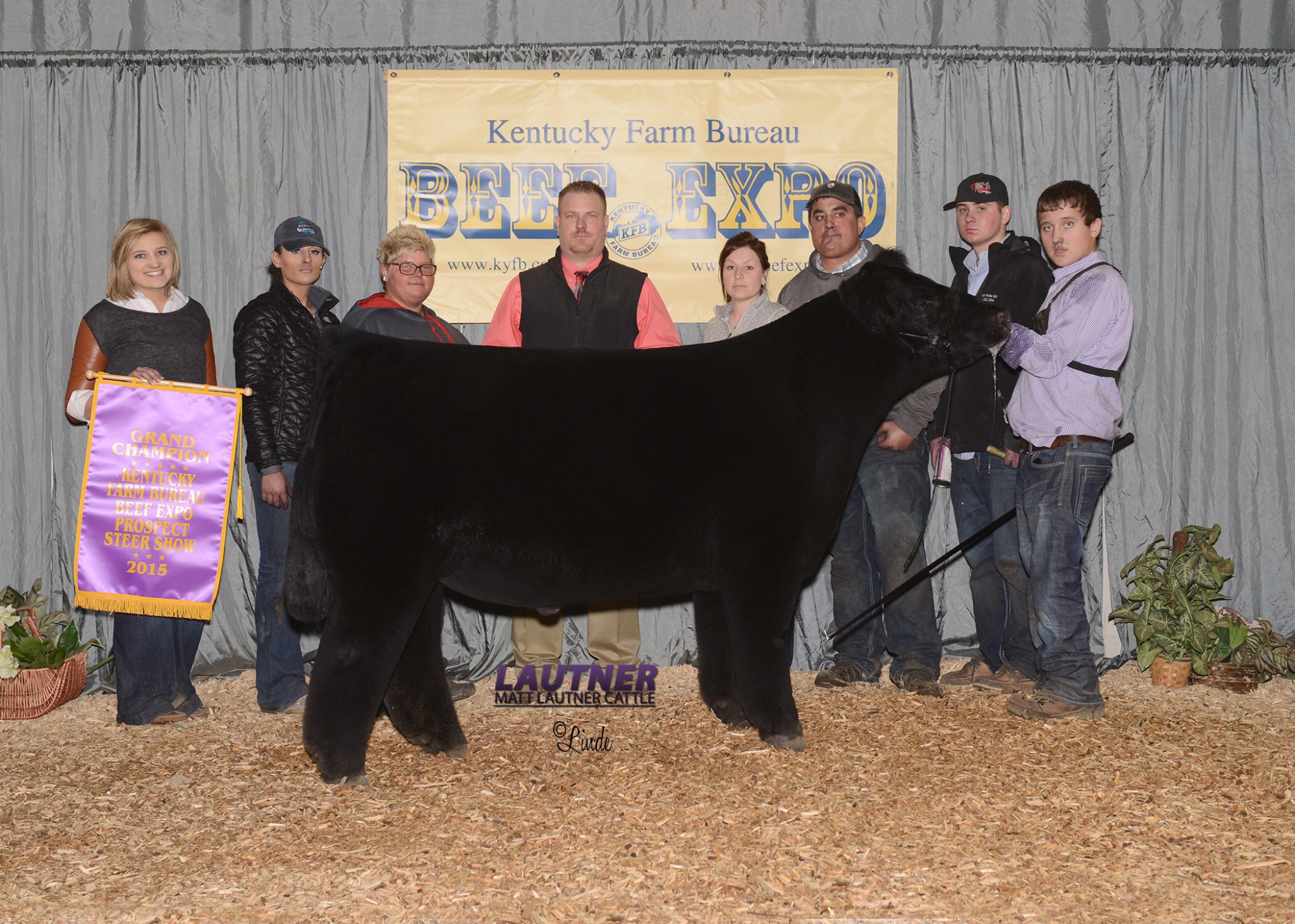 Kentucky Beef Expo Steer Show Grand & Reserve Grand Swept By Breed