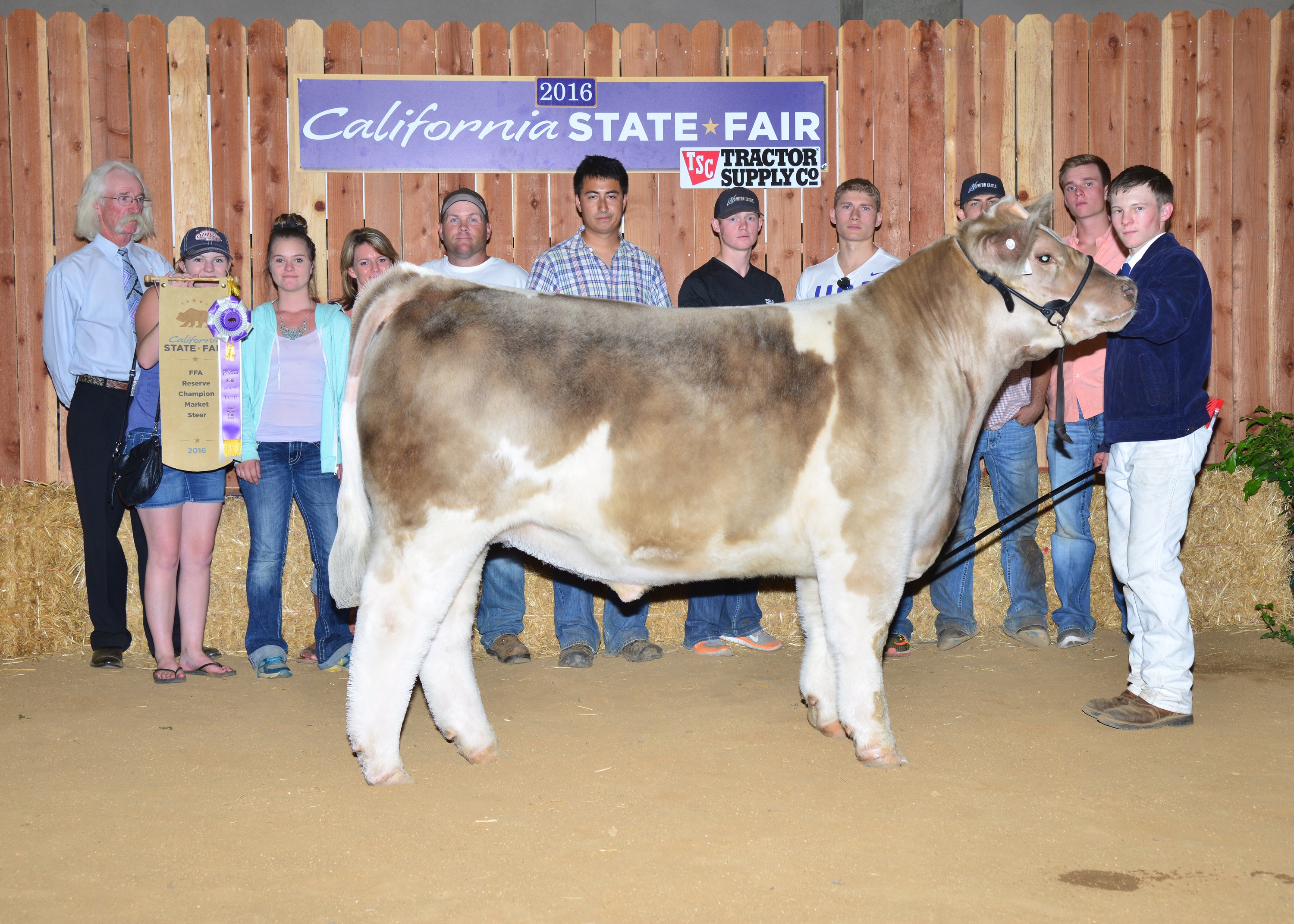 Reserve Champion FFA Steer 2016 California State Fair Lautner Farms