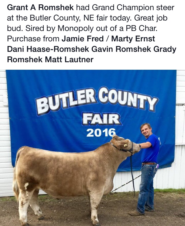 Butler County Fair Nebraska Matt Lautner Cattle