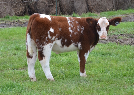 Lot09