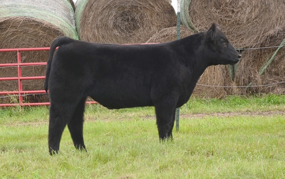 Lot10