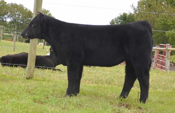 Lot13