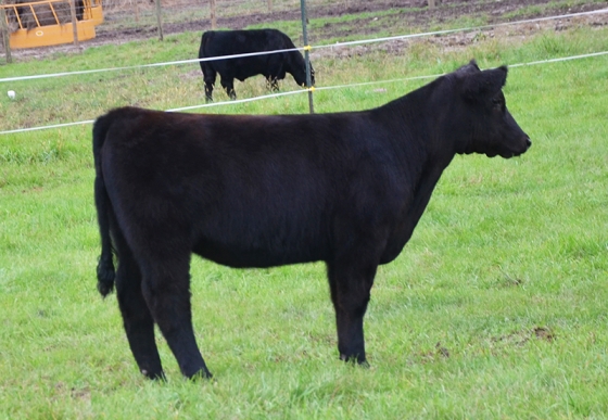 Lot14