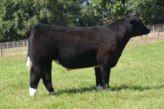 Lot3