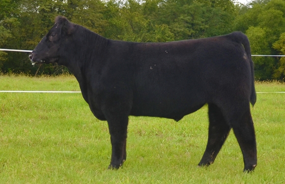 Lot4