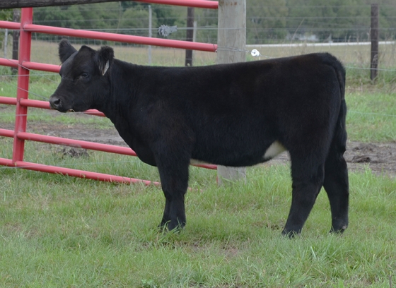 Lot8