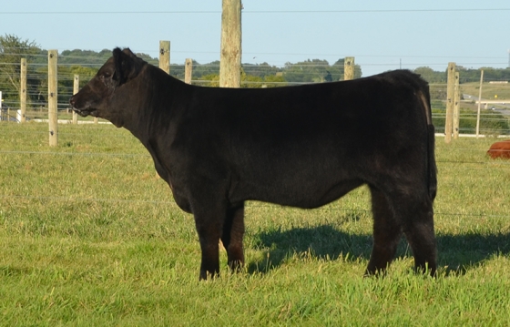 lot2