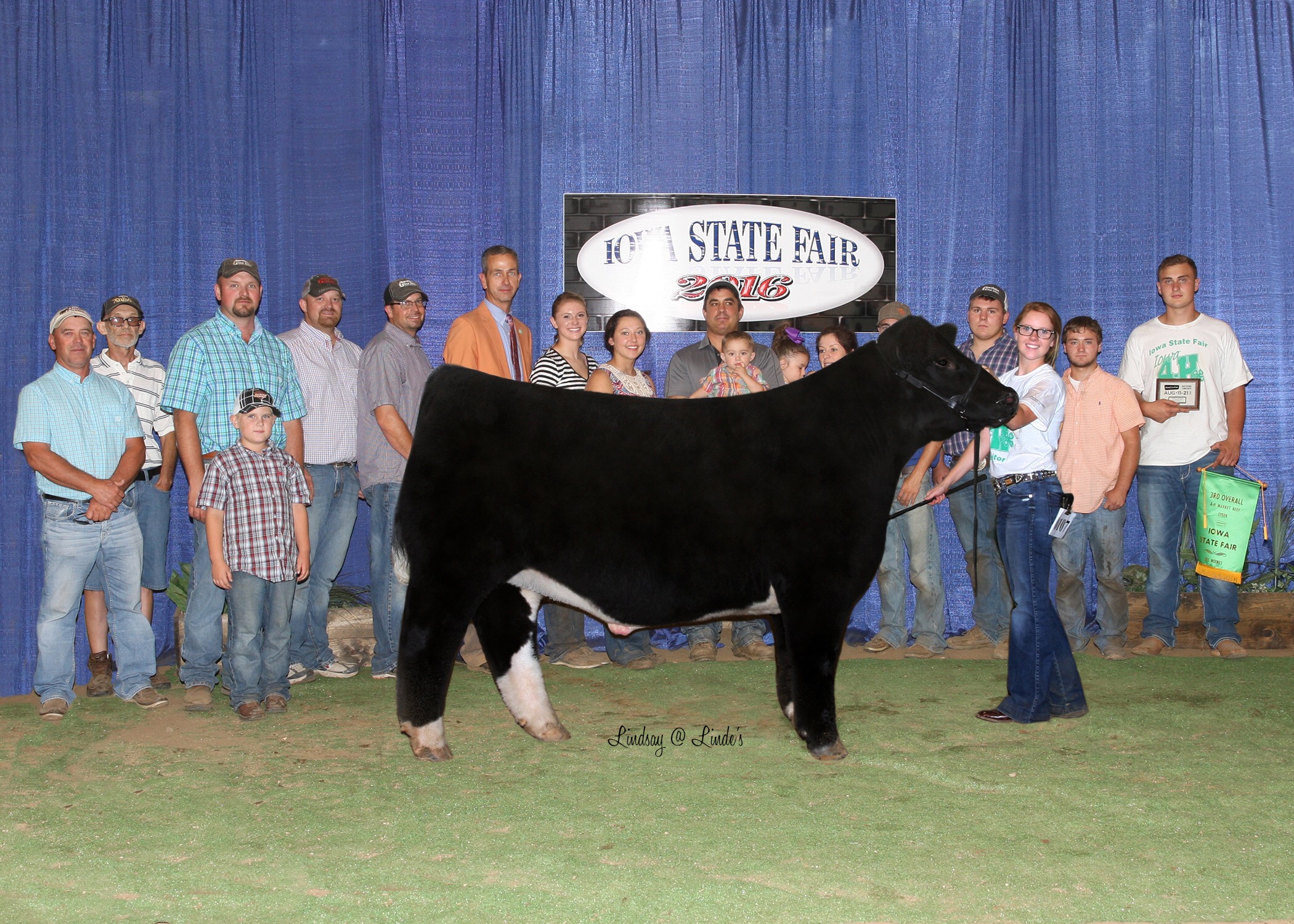 Congrats To All The Tremendous Champions At The Iowa State Fair Steer