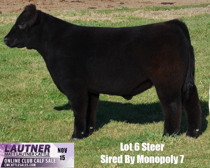 lot6mono1115