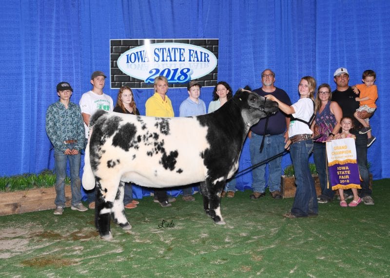 Full Sister To MLC’s Red Neck Selected Grand Champion Market Heifer ...