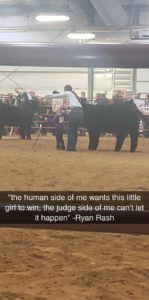 Judge Ryan Rash Greatest Hits At Badger Kickoff Classic! #Quotes - Matt ...