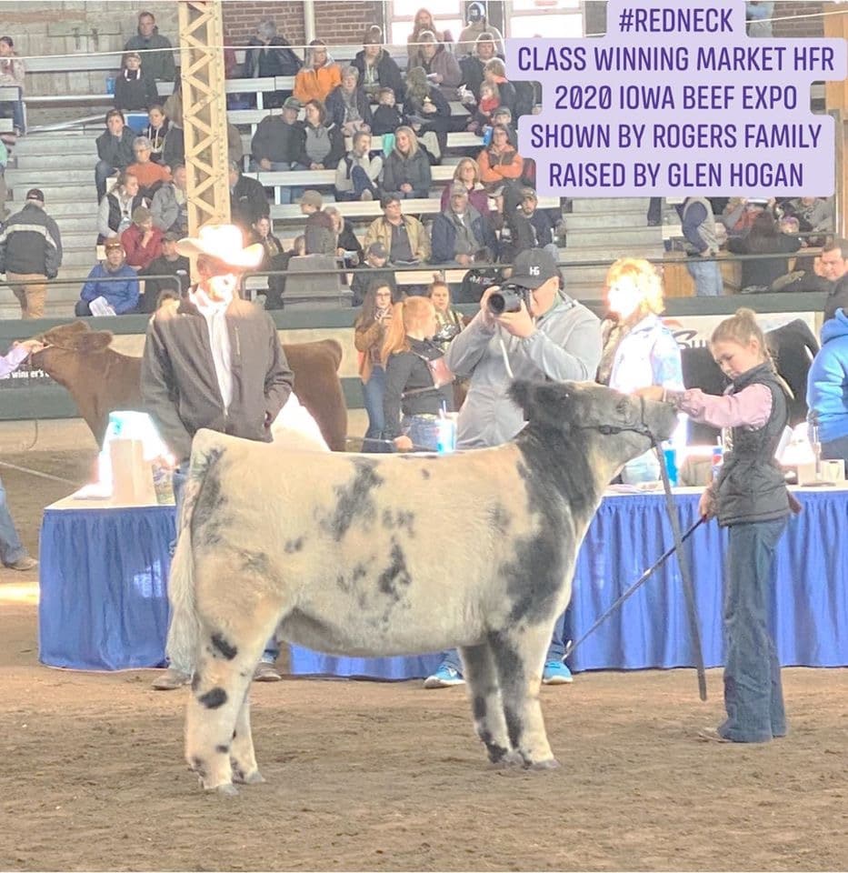 Class Winning Market Heifer 2020 Iowa Beef Expo Matt Lautner Cattle