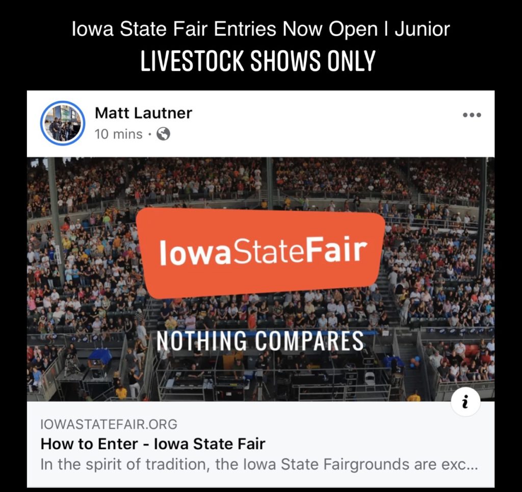 Iowa State Fair Entries Now Open Junior Livestock Shows Only Matt