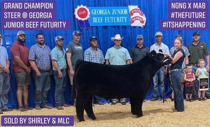 Grand Champion Steer Selection Junior Beef Futurity! 