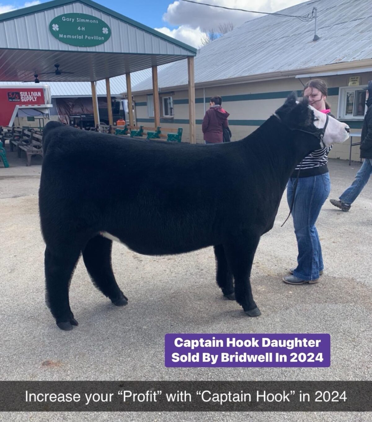 Breeder Kevin Burger Family Breeder Of New In 2024 “Captain Hook” That Was Named Grand Champion